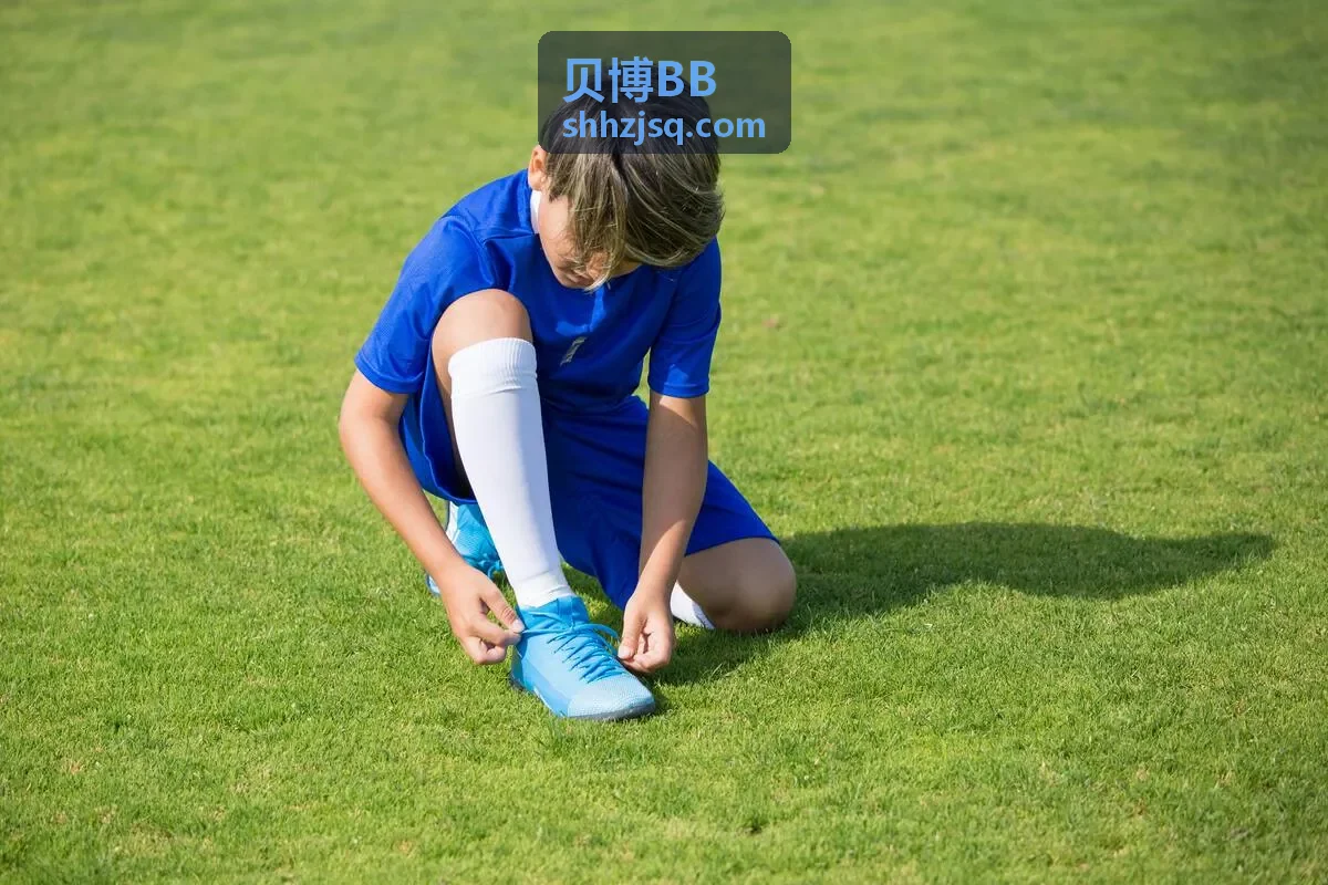 贝博BB竞争情报分析
